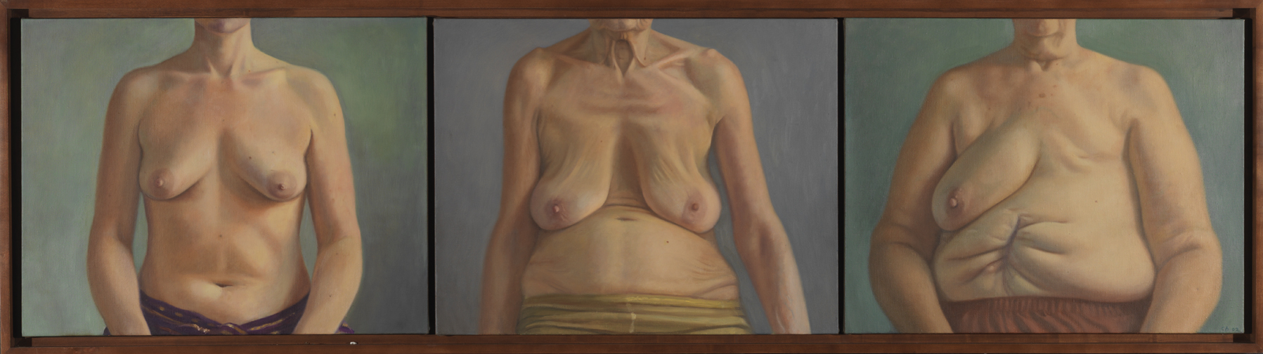 Breast Portrait Triptych