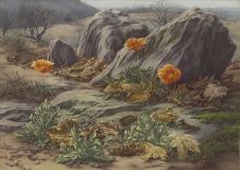 Peter Blume, Landscape with Poppies, 1939, oil on canvas, 18 x 25 1/8 in.