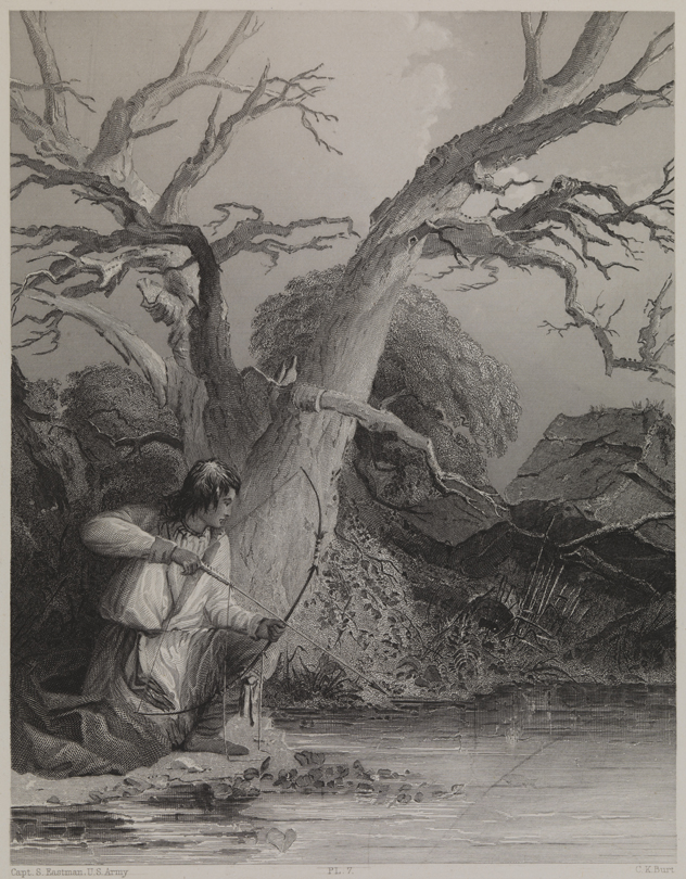 Indian Shooting Fish