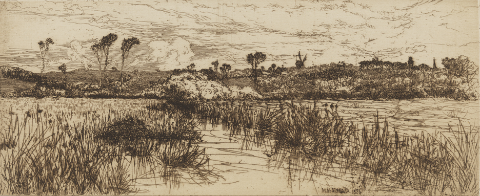 The Home of the Muskrat