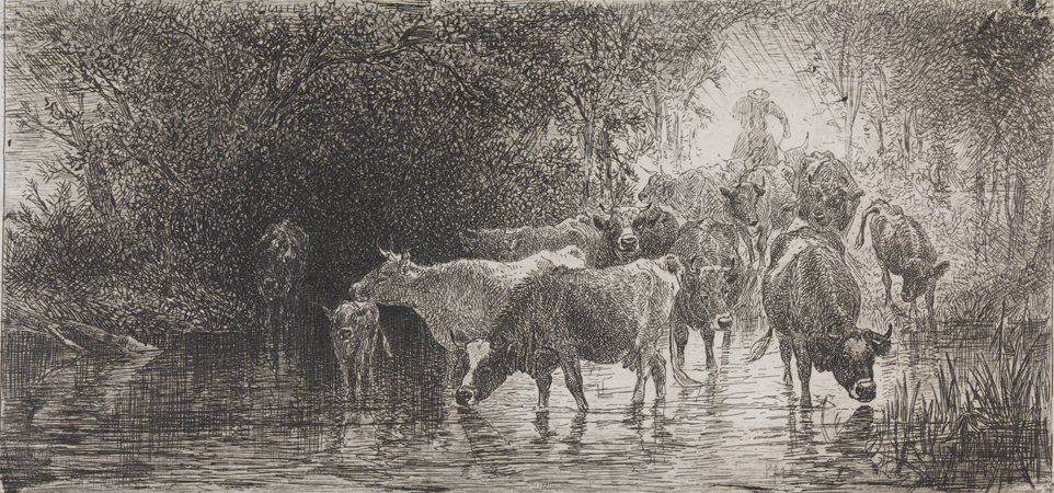 [Evening: Cattle Crossing the Stream]
