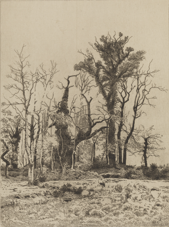 [On the Borders of the Marsh]