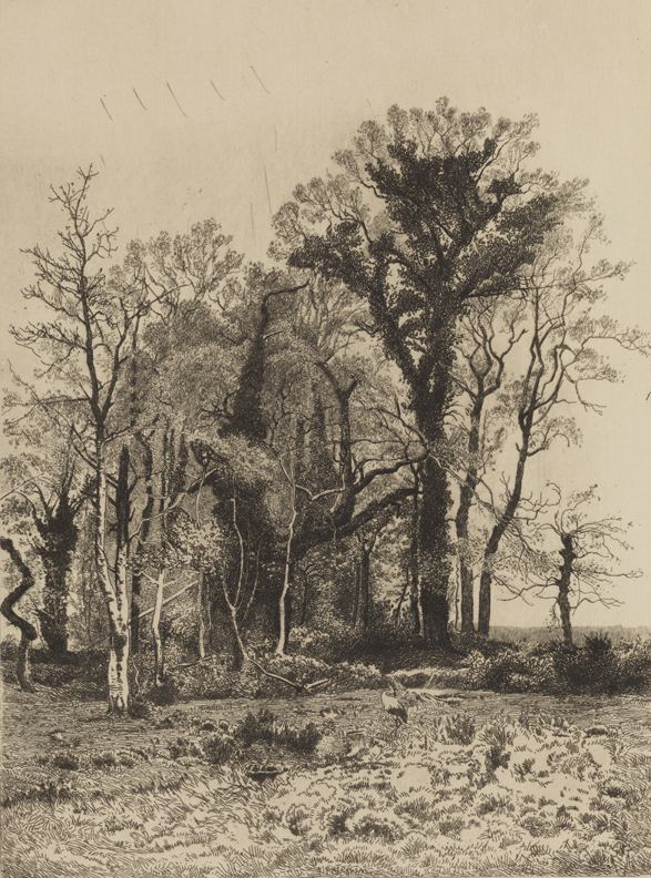 [On the Borders of the Marsh]