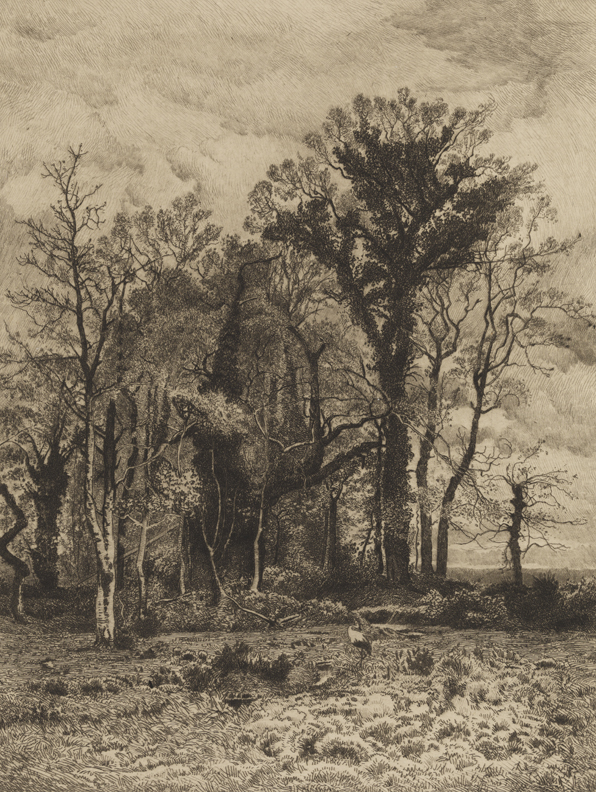 [On the Borders of the Marsh]