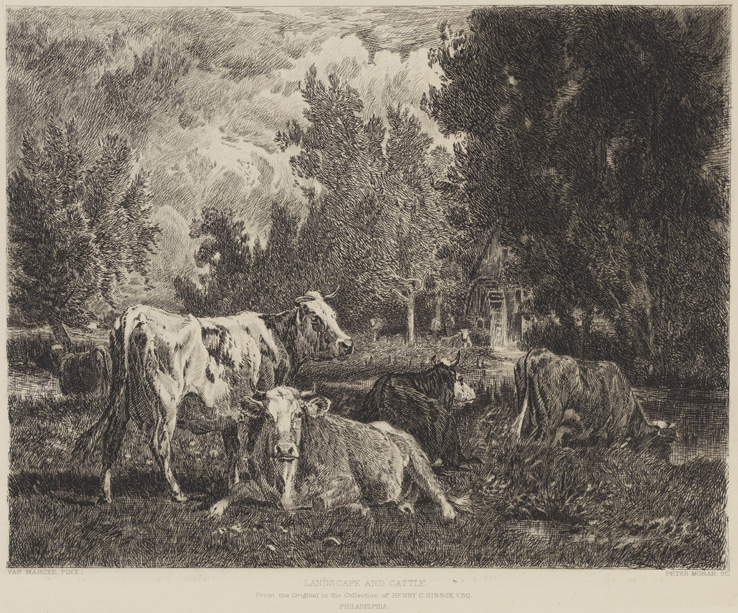 Landscape and Cattle