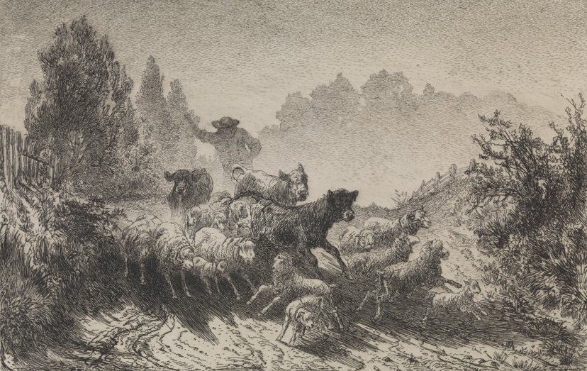 [Morning: A Dusty Road]