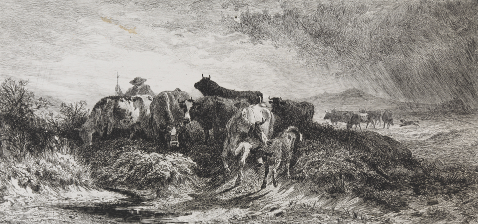 [Return of the Herd]