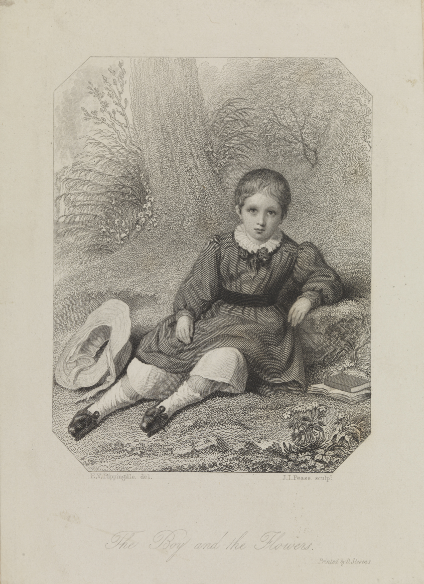 The Boy and the Flowers