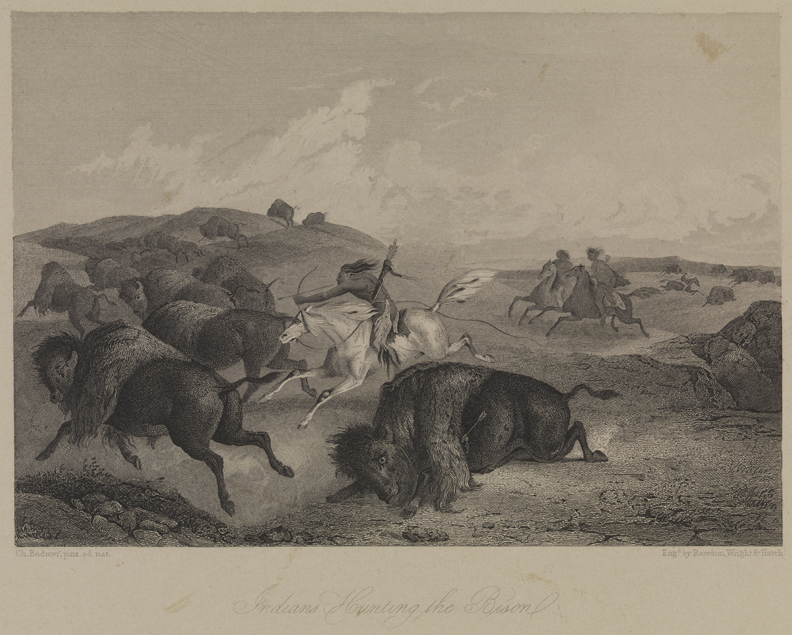 Indians Hunting the Bison