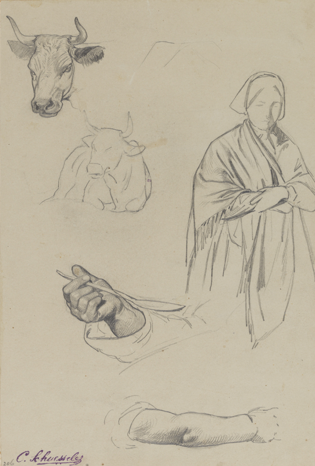 (Studies of cows, hand, arm, and peasant woman)
