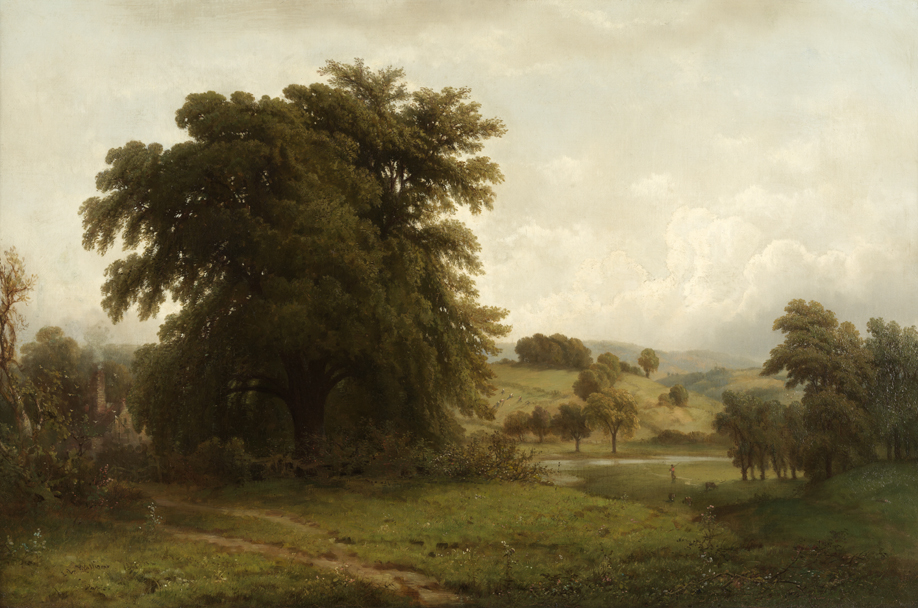 View in Dovedale, England 