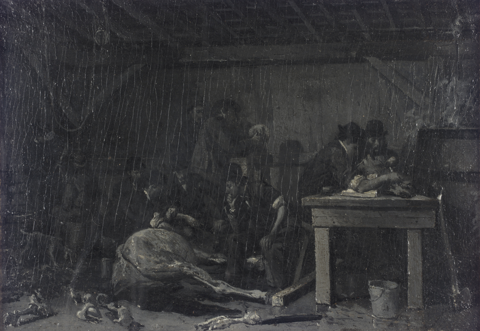 Academy Students Dissecting a Horse