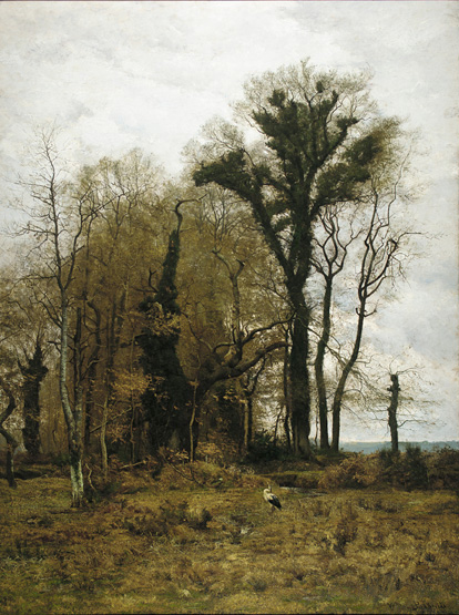 On the Borders of the Marsh 