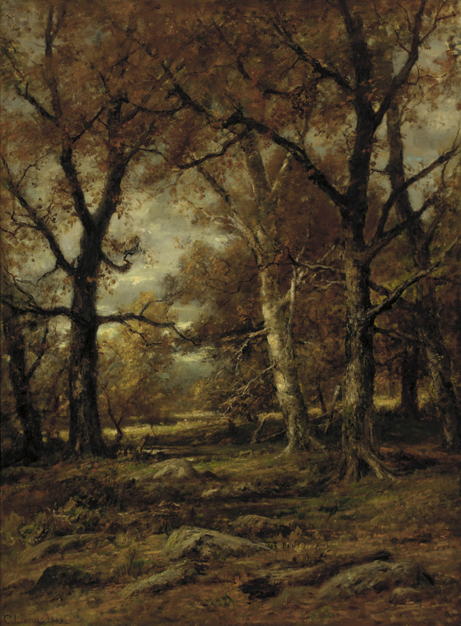 Lowland Woods: Morning 