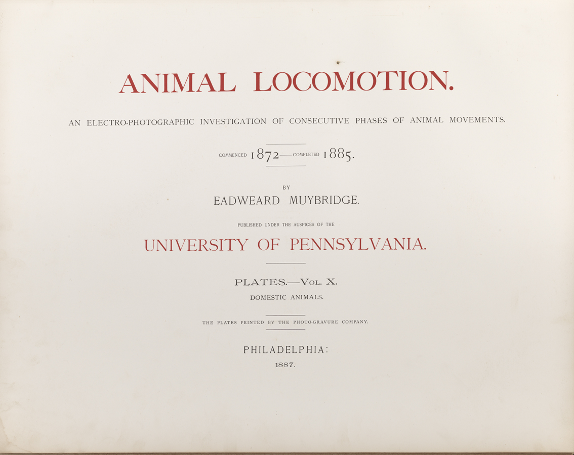 Animal Locomotion, Volume X, Domestic Animals. Title Page