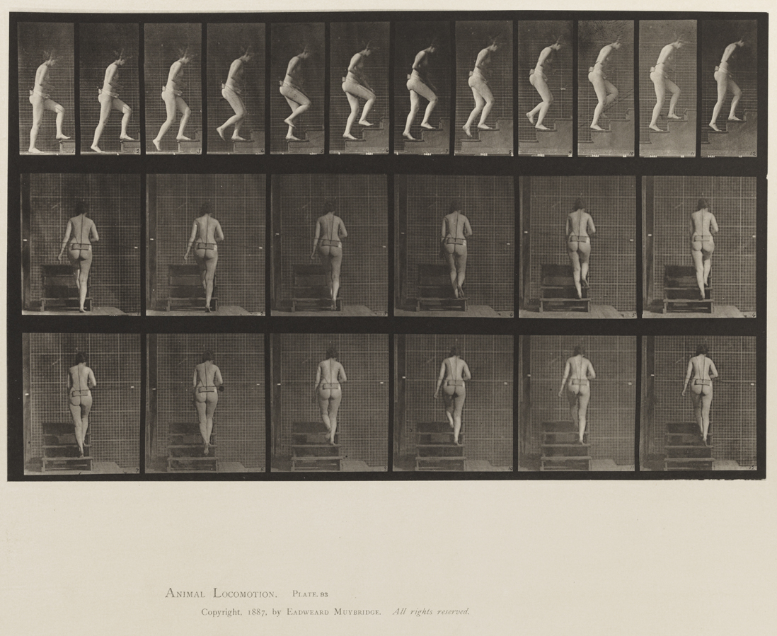 Animal Locomotion, Volume XII, Miscellaneous. Plate 93