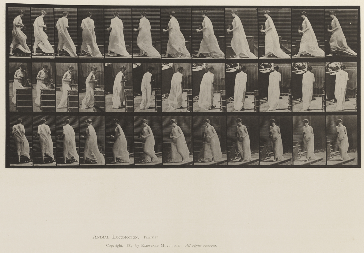 Animal Locomotion, Volume XII, Miscellaneous. Plate 97