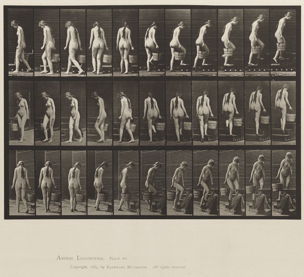 Animal Locomotion, Volume XII, Miscellaneous. Plate 102