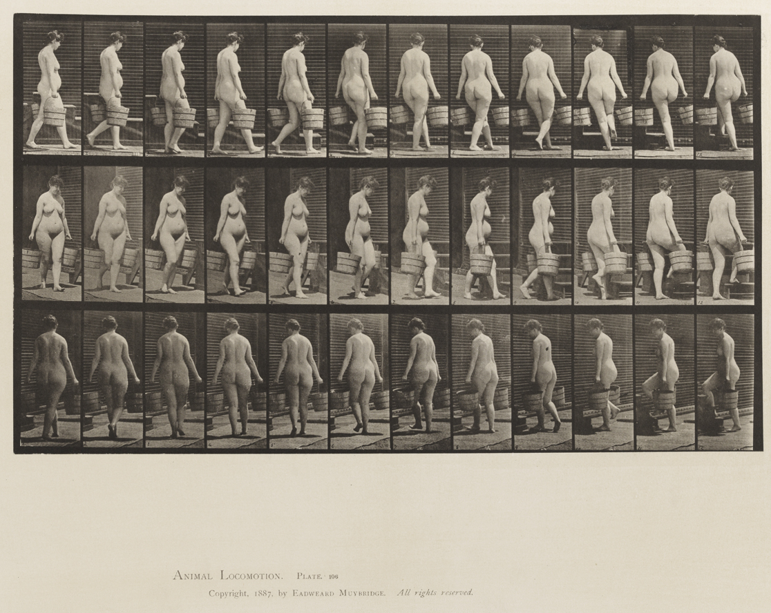 Animal Locomotion, Volume XII, Miscellaneous. Plate 106