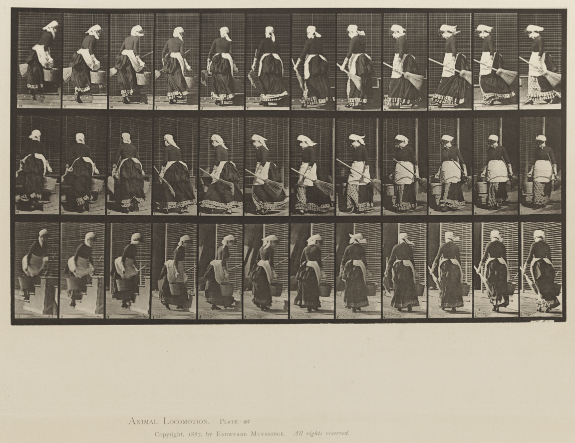 Animal Locomotion, Volume XII, Miscellaneous. Plate 107