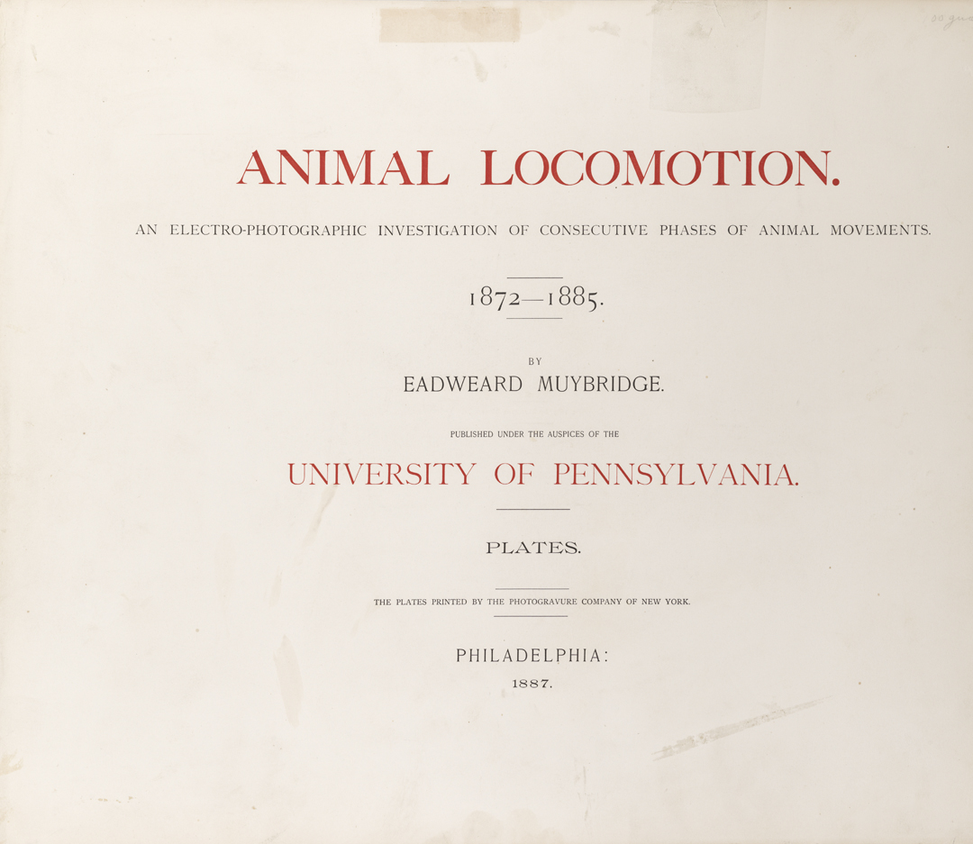 Animal Locomotion, Volume XII, Miscellaneous. Title Page