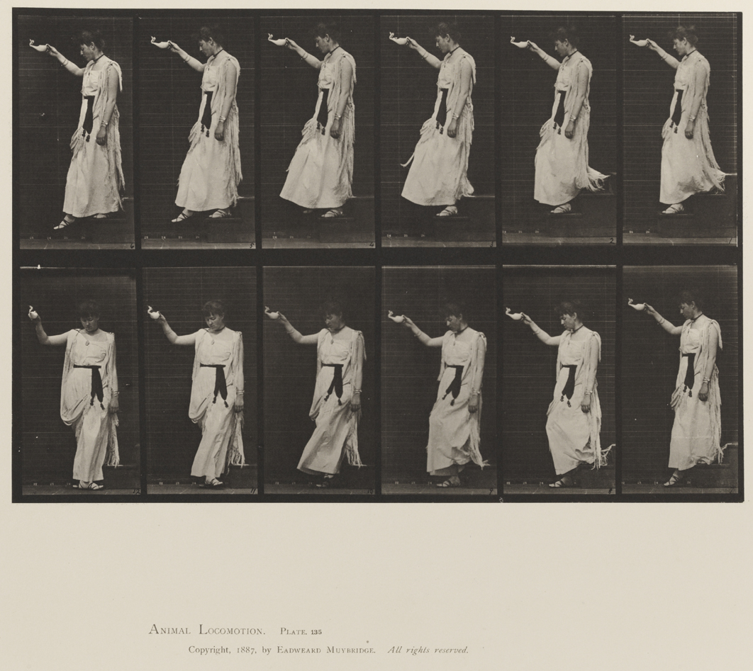 Animal Locomotion, Volume XII, Miscellaneous. Plate 135