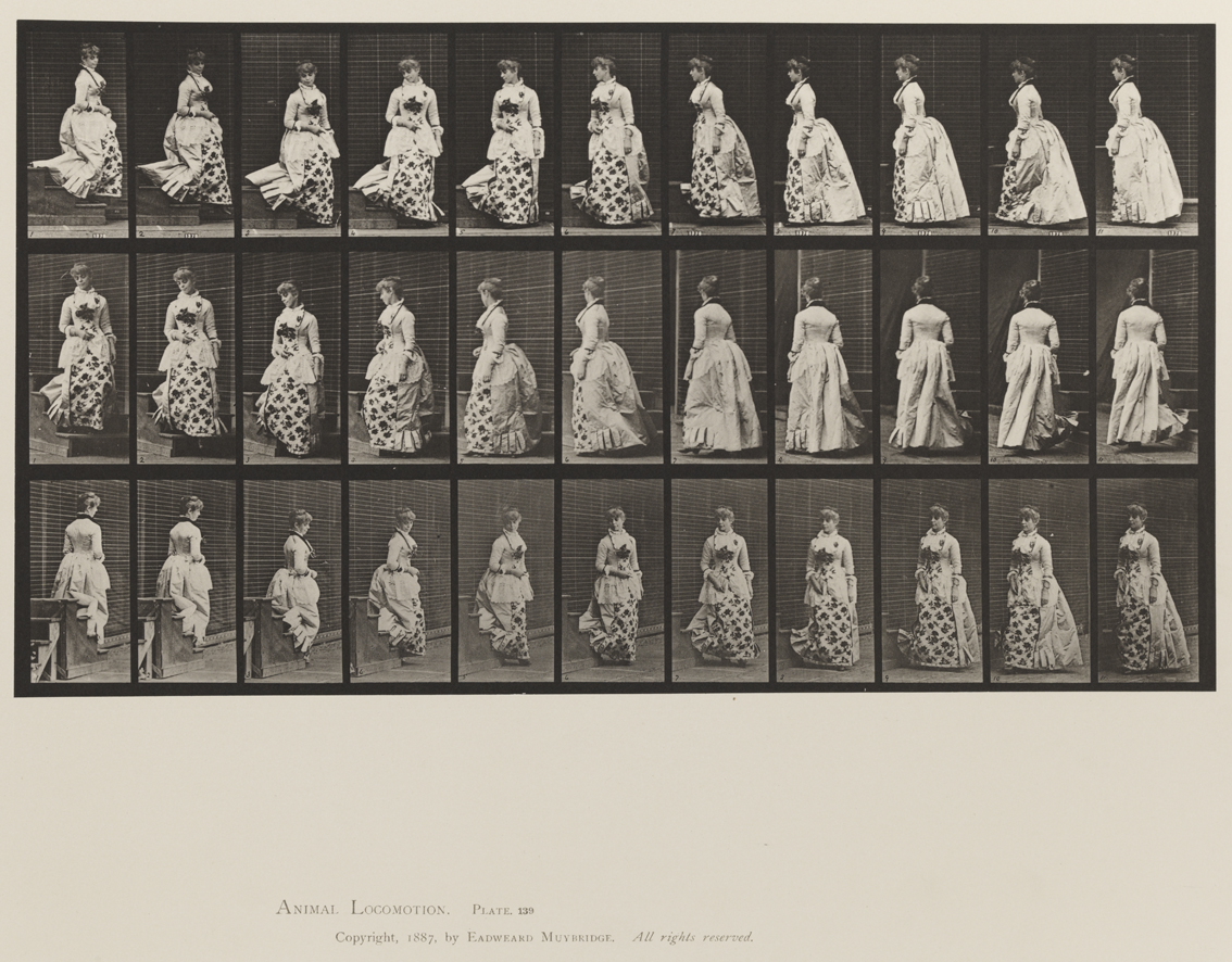 Animal Locomotion, Volume XII, Miscellaneous. Plate 139