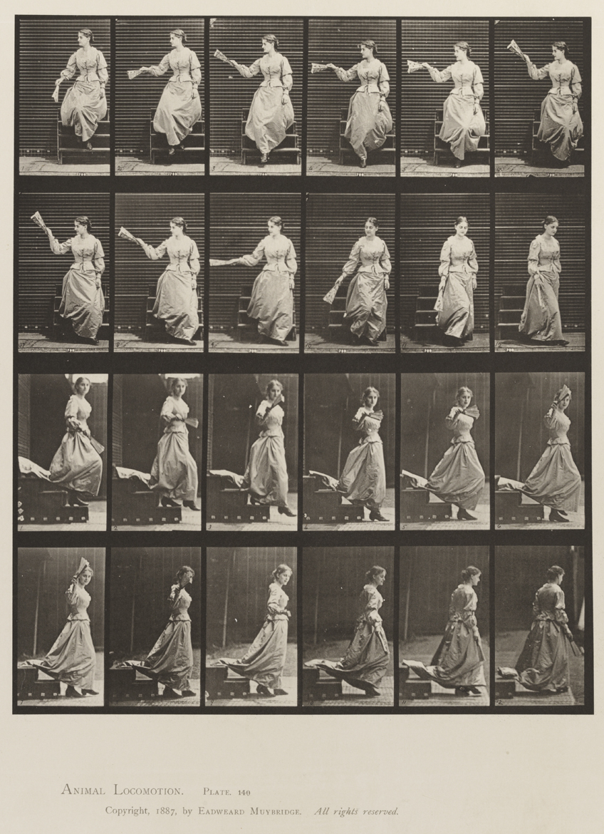 Animal Locomotion, Volume XII, Miscellaneous. Plate 140