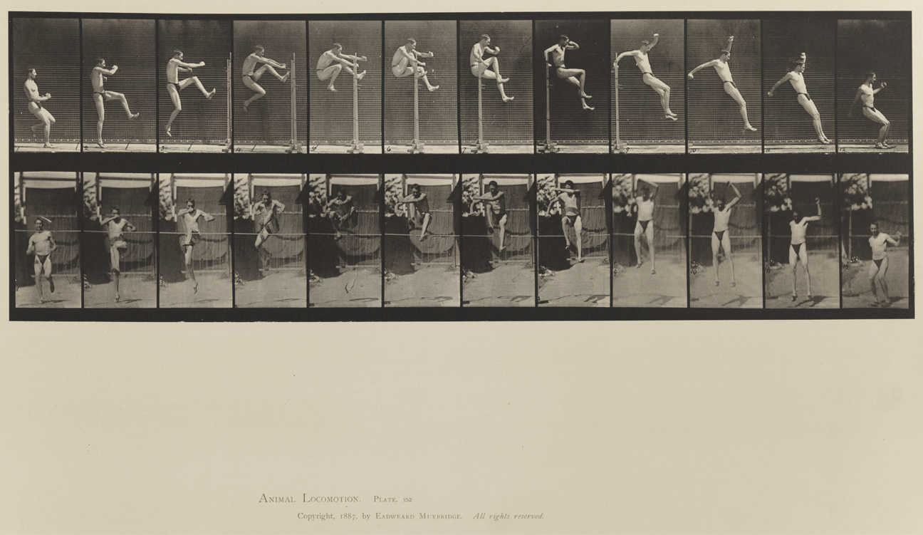 Animal Locomotion, Volume XII, Miscellaneous. Plate 152