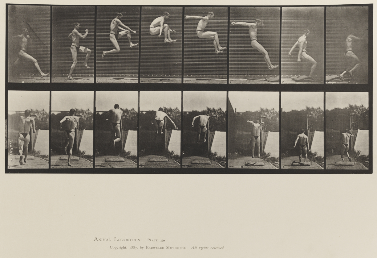 Animal Locomotion, Volume XII, Miscellaneous. Plate 160