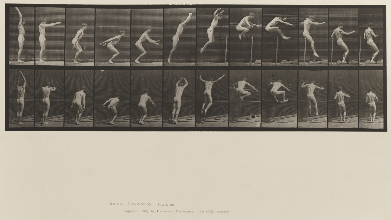 Animal Locomotion, Volume XII, Miscellaneous. Plate 161