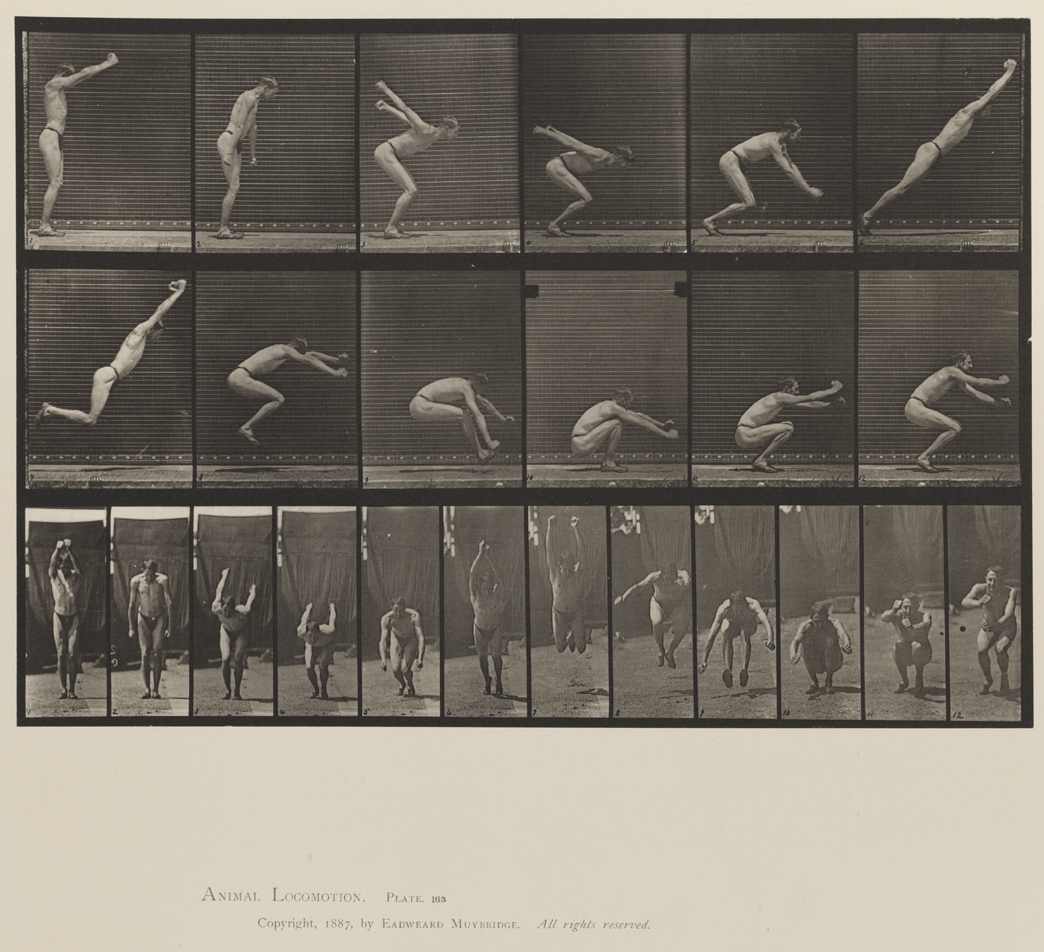 Animal Locomotion, Volume XII, Miscellaneous. Plate 163