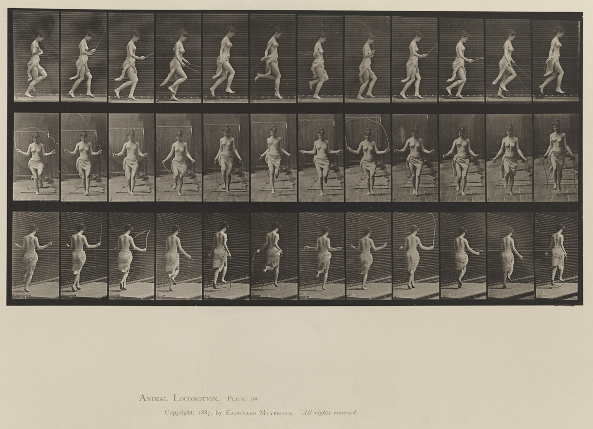 Animal Locomotion, Volume XII, Miscellaneous. Plate 174