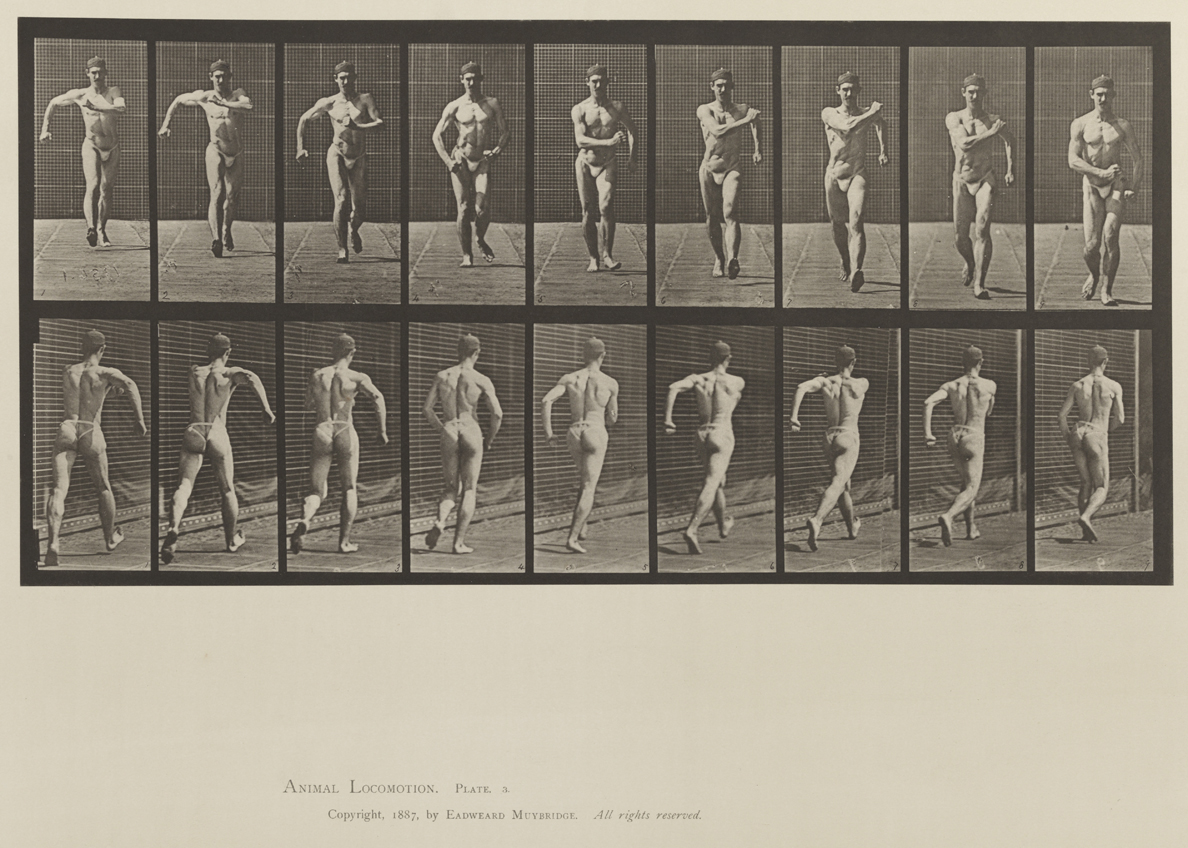 Animal Locomotion, Volume XII, Miscellaneous. Plate 3