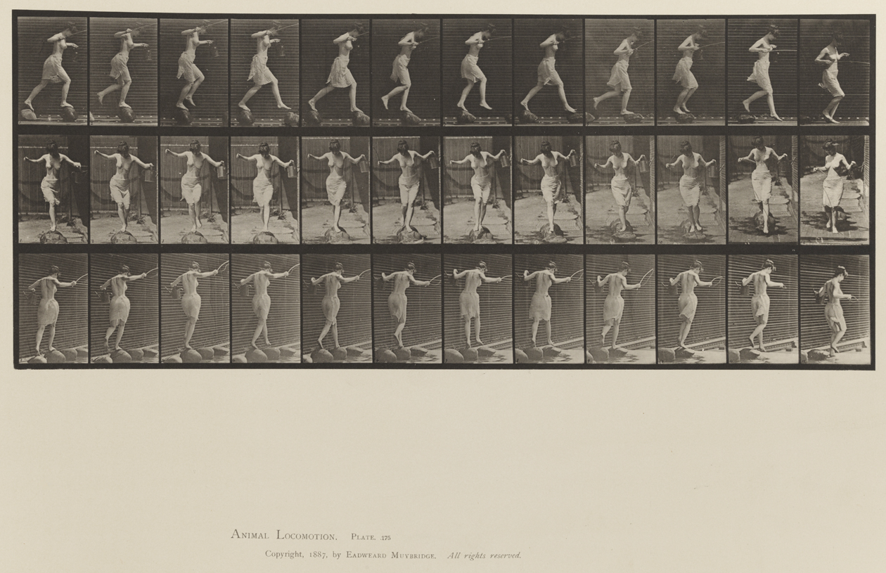 Animal Locomotion, Volume XII, Miscellaneous. Plate 175