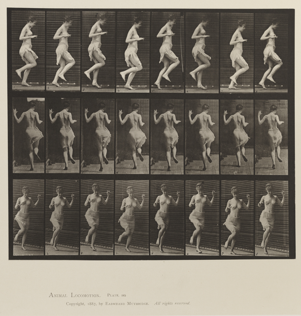 Animal Locomotion, Volume XII, Miscellaneous. Plate 185