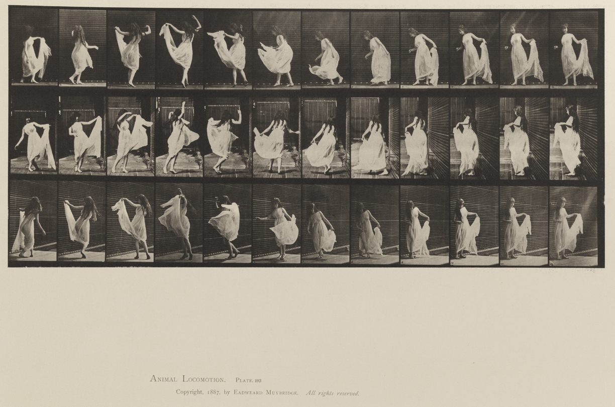 Animal Locomotion, Volume XII, Miscellaneous. Plate 193