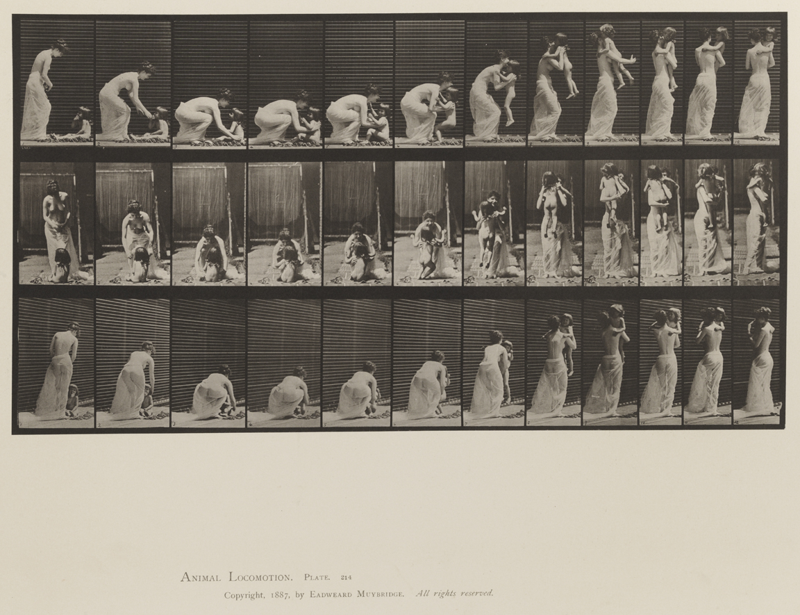 Animal Locomotion, Volume XII, Miscellaneous. Plate 214