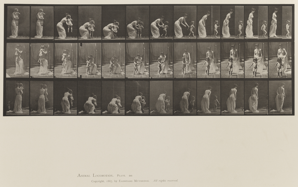 Animal Locomotion, Volume XII, Miscellaneous. Plate 215