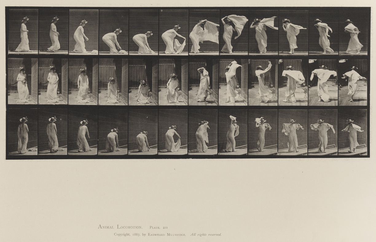 Animal Locomotion, Volume XII, Miscellaneous. Plate 233
