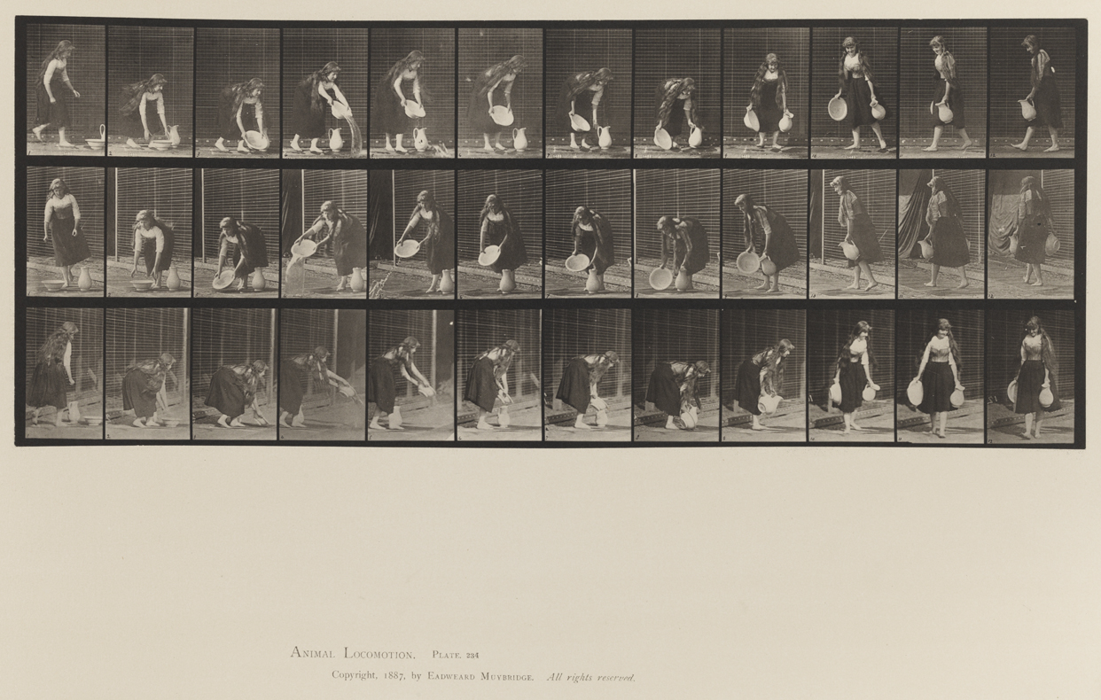 Animal Locomotion, Volume XII, Miscellaneous. Plate 234