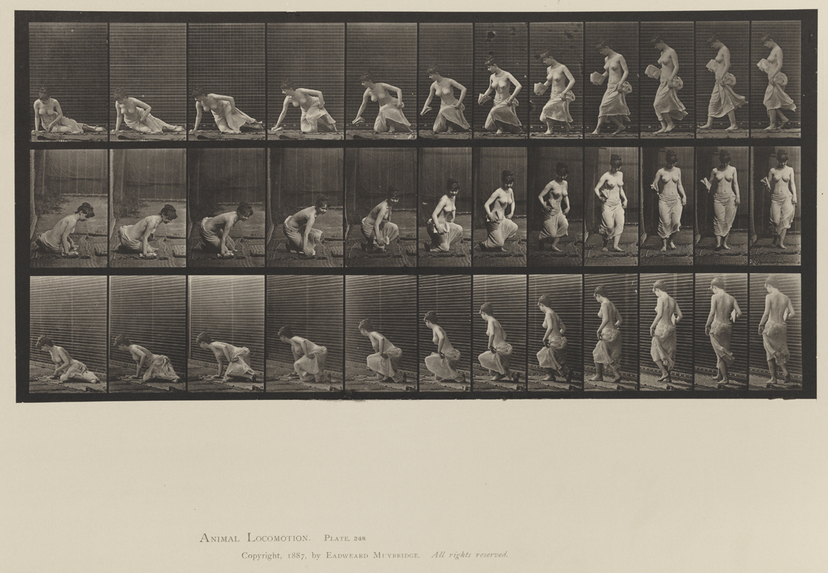 Animal Locomotion, Volume XII, Miscellaneous. Plate 248