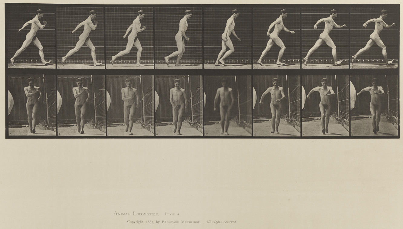 Animal Locomotion, Volume XII, Miscellaneous. Plate 4