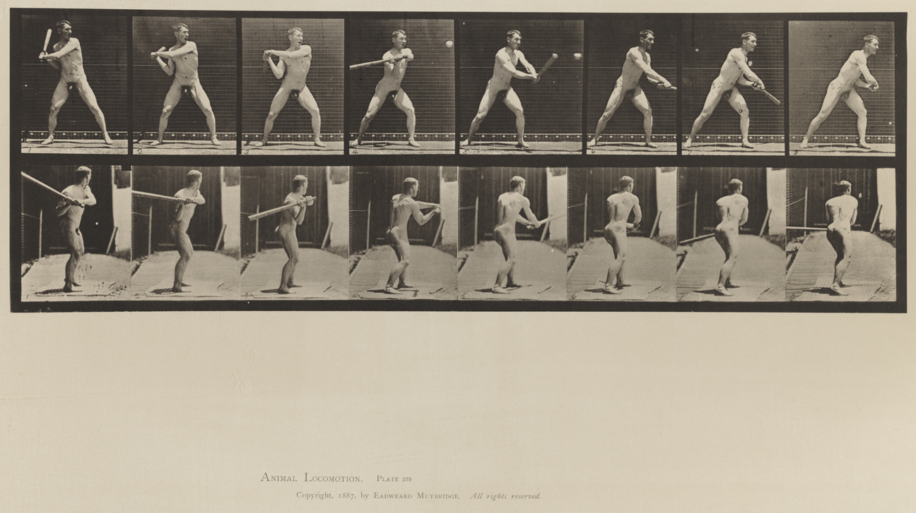 Animal Locomotion, Volume XII, Miscellaneous. Plate 279