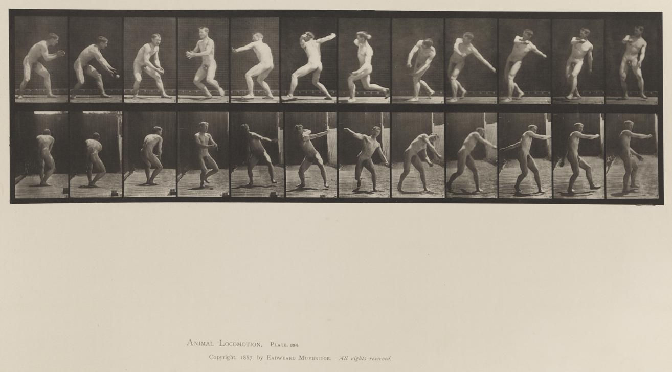 Animal Locomotion, Volume XII, Miscellaneous. Plate 284