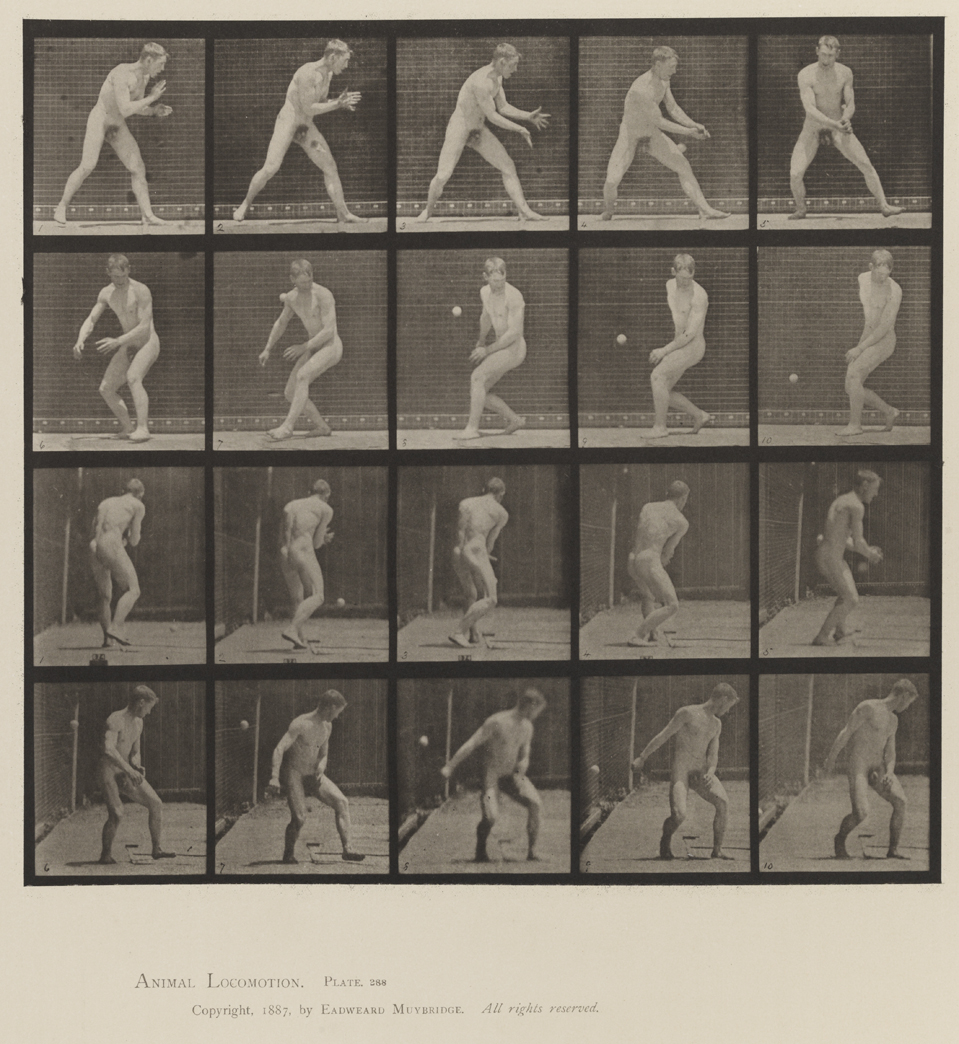 Animal Locomotion, Volume XII, Miscellaneous. Plate 288