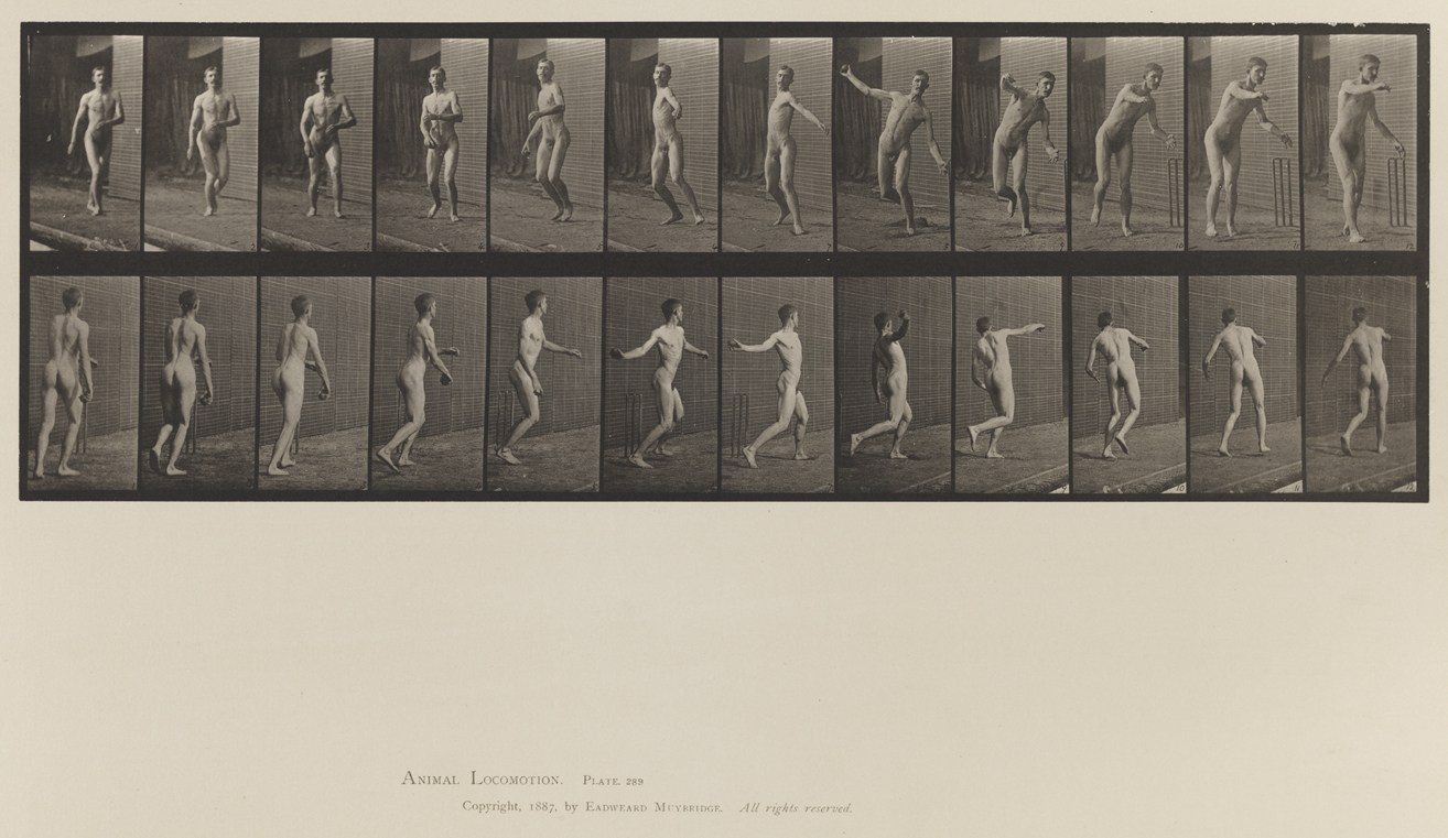 Animal Locomotion, Volume XII, Miscellaneous. Plate 289