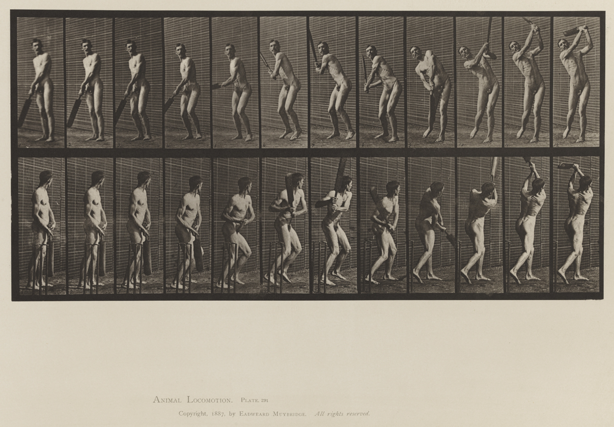 Animal Locomotion, Volume XII, Miscellaneous. Plate 291