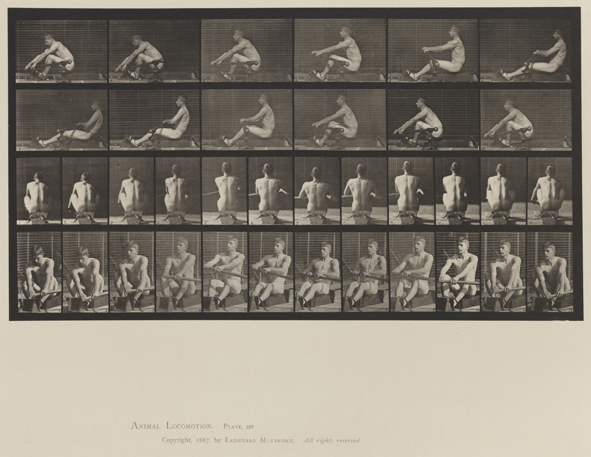 Animal Locomotion, Volume XII, Miscellaneous. Plate 327