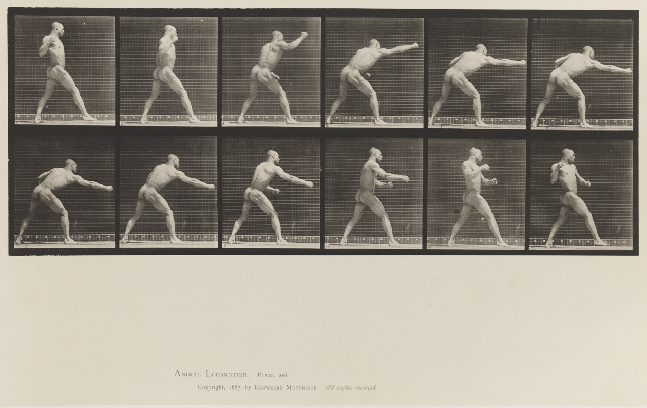 Animal Locomotion, Volume XII, Miscellaneous. Plate 344